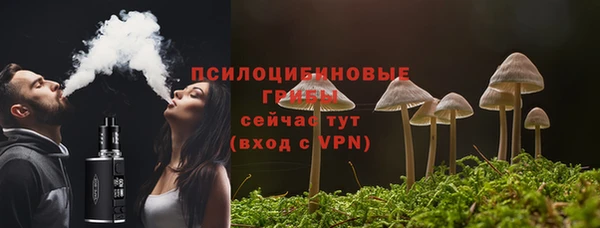 ешки Арсеньев