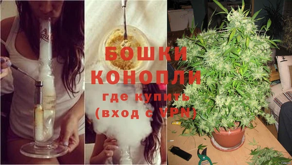 ешки Арсеньев