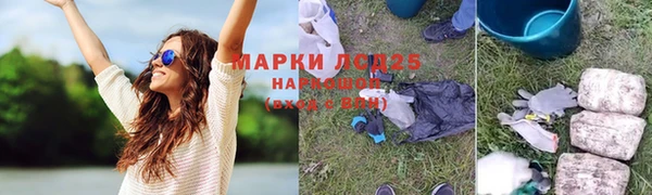 дмт Аркадак